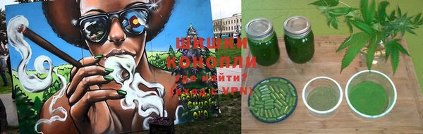 СК Алексеевка