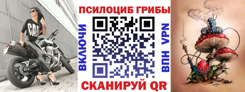 Галлюциногенные грибы Psilocybe как найти закладки Николаевск-на-Амуре